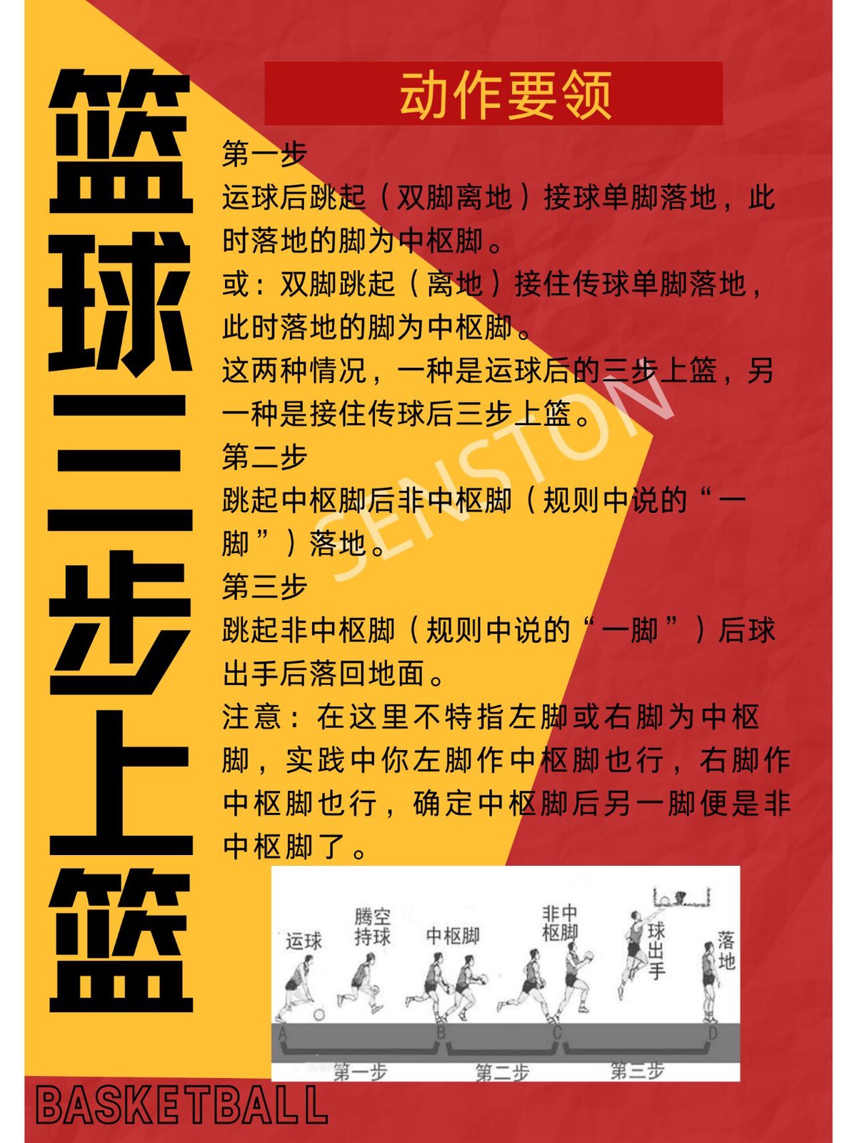 篮球基础训练视频教程完整版